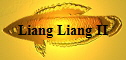 Liang Liang II